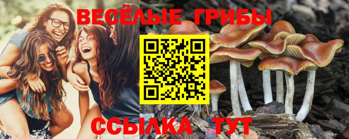 Галлюциногенные грибы ЛСД  Вход с VPN  Прокопьевск 