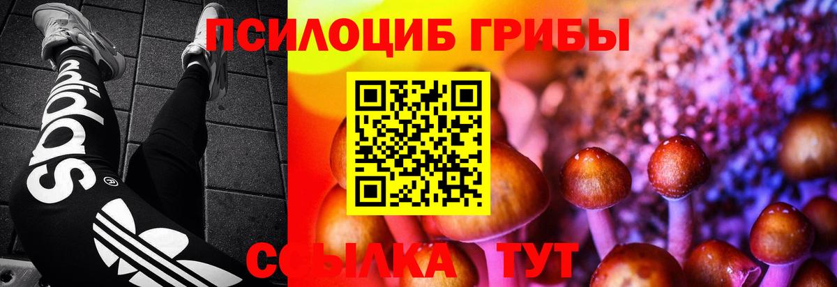 Псилоцибиновые грибы мухоморы Прокопьевск